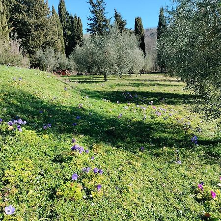 Agriturismo Natura E Salute Σαν Τζιμινιάνο Εξωτερικό φωτογραφία