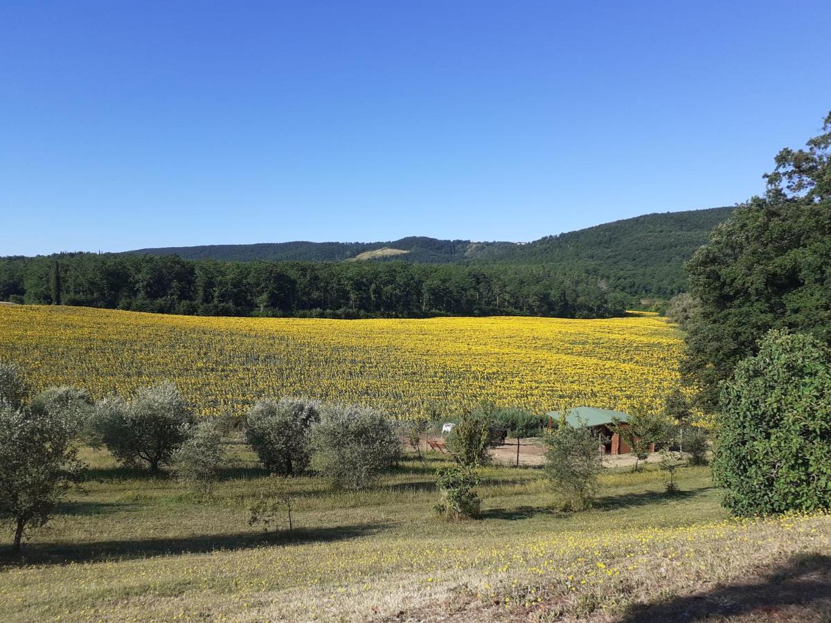Agriturismo Natura E Salute Σαν Τζιμινιάνο Εξωτερικό φωτογραφία