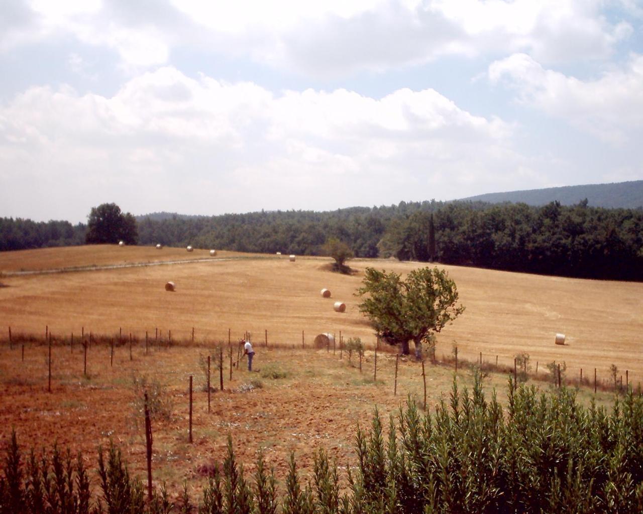 Agriturismo Natura E Salute Σαν Τζιμινιάνο Εξωτερικό φωτογραφία