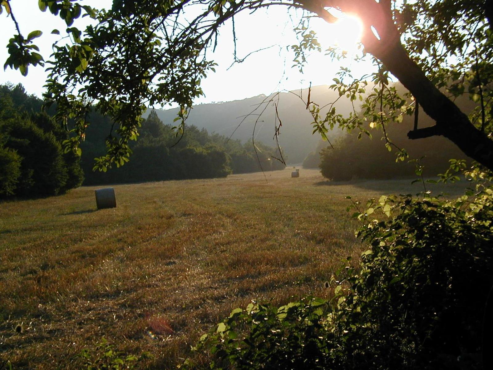 Agriturismo Natura E Salute Σαν Τζιμινιάνο Εξωτερικό φωτογραφία