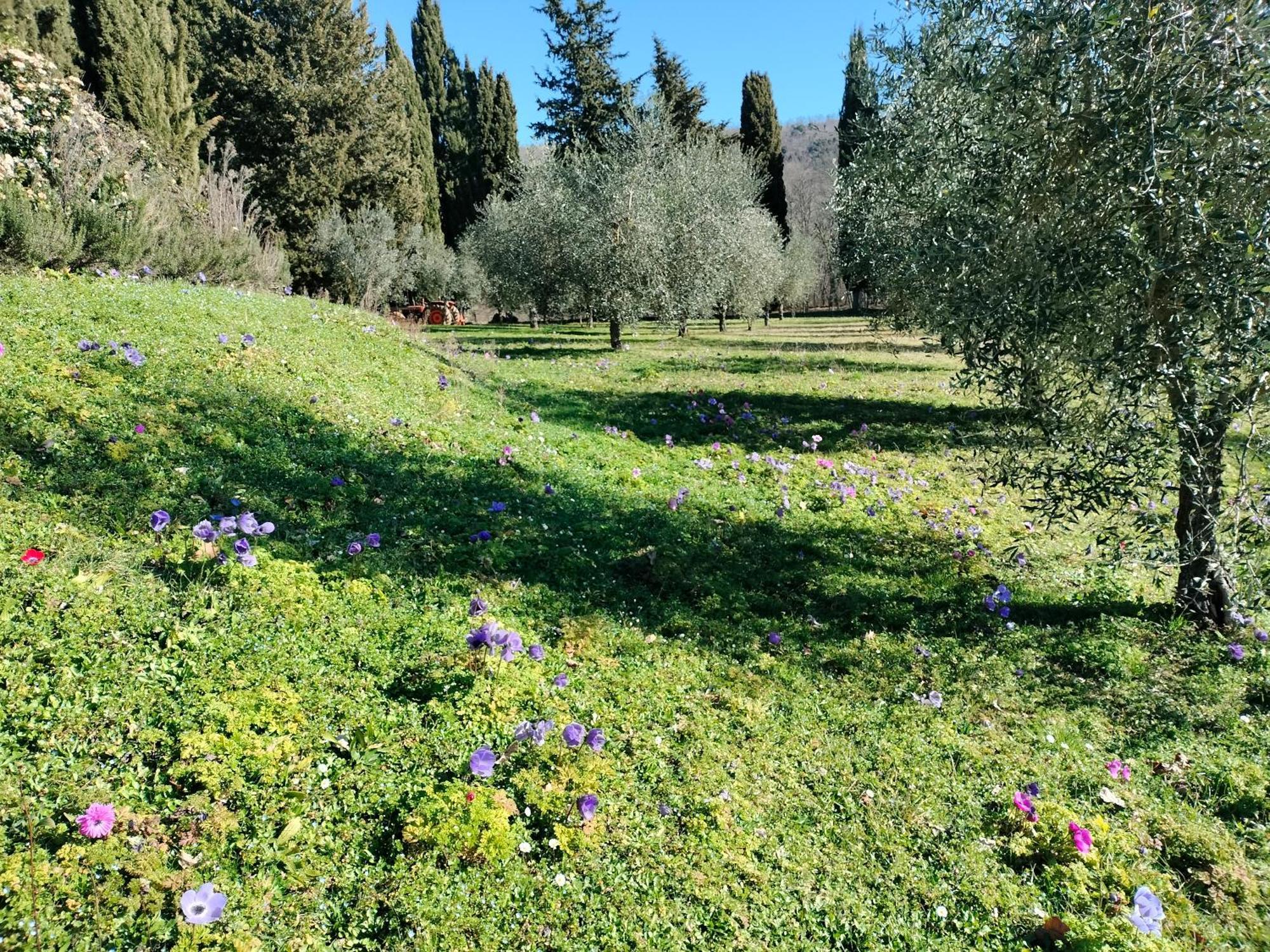 Agriturismo Natura E Salute Σαν Τζιμινιάνο Εξωτερικό φωτογραφία