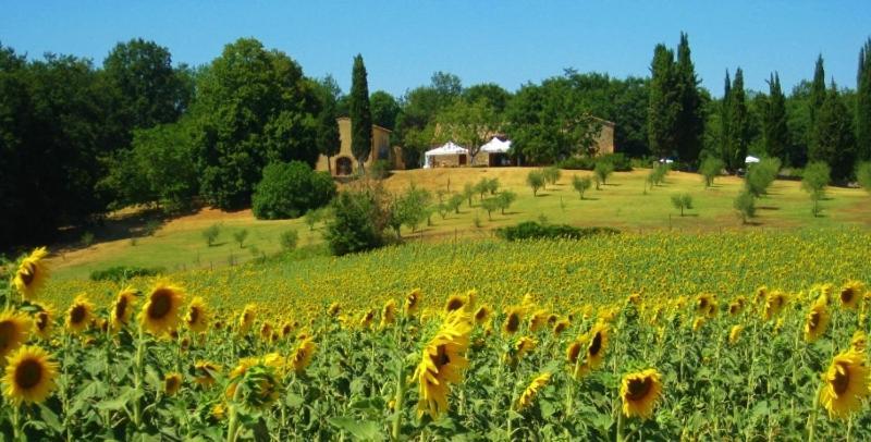 Agriturismo Natura E Salute Σαν Τζιμινιάνο Εξωτερικό φωτογραφία
