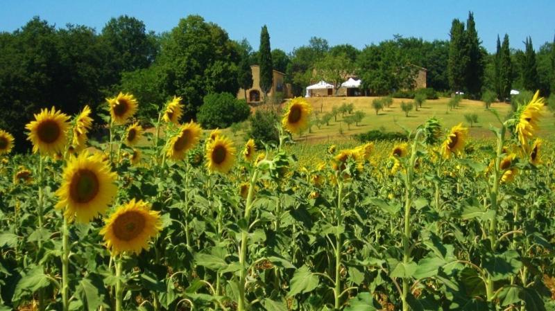Agriturismo Natura E Salute Σαν Τζιμινιάνο Εξωτερικό φωτογραφία