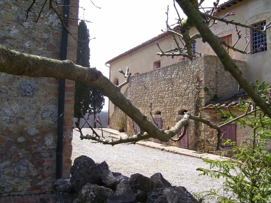 Agriturismo Natura E Salute Σαν Τζιμινιάνο Εξωτερικό φωτογραφία