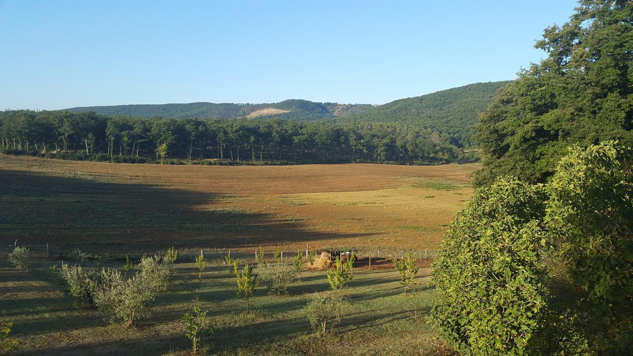 Agriturismo Natura E Salute Σαν Τζιμινιάνο Εξωτερικό φωτογραφία